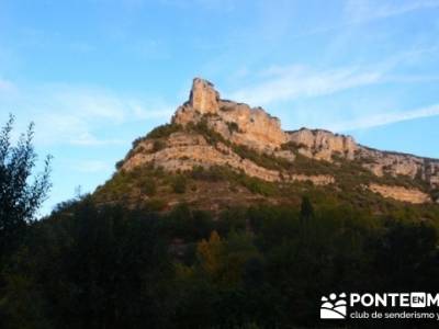 Cañones y nacimento del Ebro - Monte Hijedo;senderos club;taxus bacata